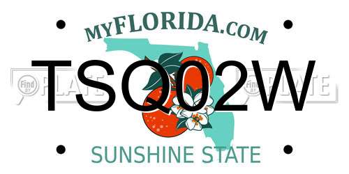 TSQ02W Florida License Plate