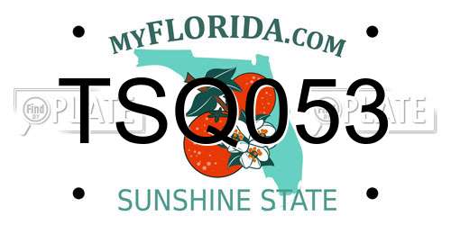TSQ053 Florida License Plate