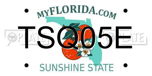 TSQ05E Florida License Plate