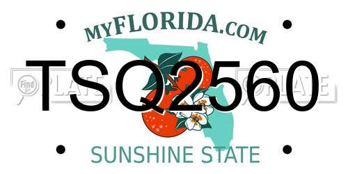 TSQ2560 Florida License Plate