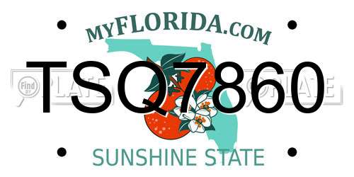 TSQ7860 Florida License Plate