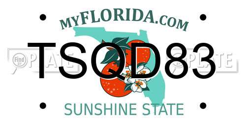 TSQD83 Florida License Plate