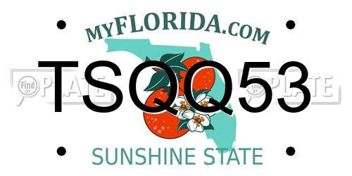TSQQ53 Florida License Plate