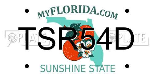 TSR54D Florida License Plate