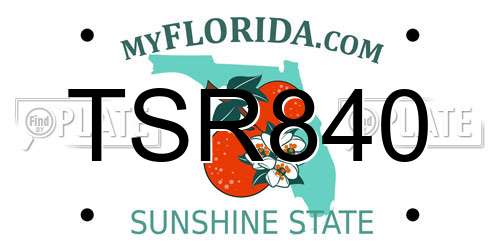 TSR840 Florida License Plate