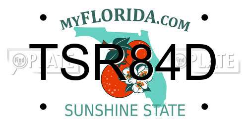 TSR84D Florida License Plate