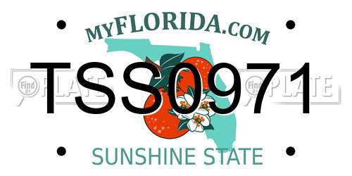 TSS0971 Florida License Plate