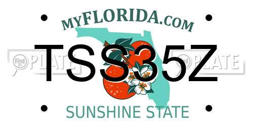 TSS35Z Florida License Plate