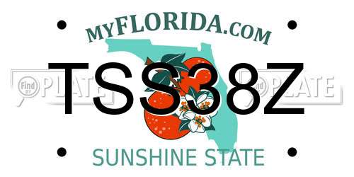 TSS38Z Florida License Plate