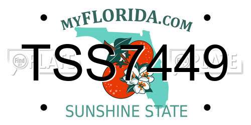 TSS7449 Florida License Plate