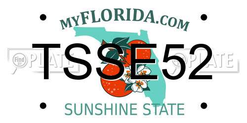 TSSE52 Florida License Plate