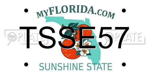 TSSE57 Florida License Plate