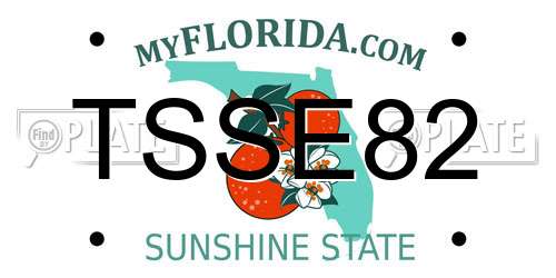 TSSE82 Florida License Plate