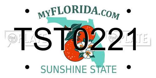 TST0221 Florida License Plate