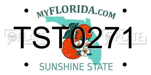 TST0271 Florida License Plate