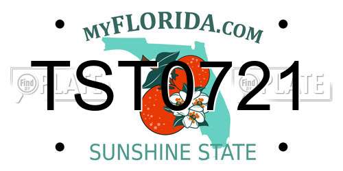 TST0721 Florida License Plate