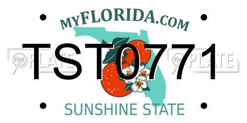 TST0771 Florida License Plate
