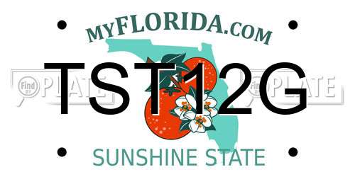 TST12G Florida License Plate