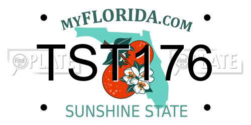 TST176 Florida License Plate