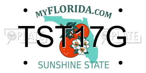 TST17G Florida License Plate