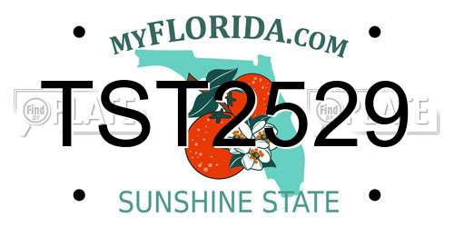 TST2529 Florida License Plate