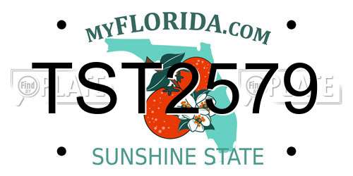TST2579 Florida License Plate