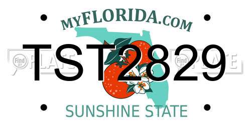 TST2829 Florida License Plate