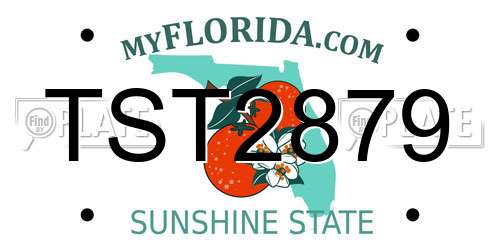 TST2879 Florida License Plate