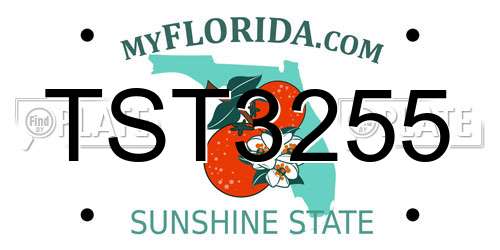 TST3255 Florida License Plate