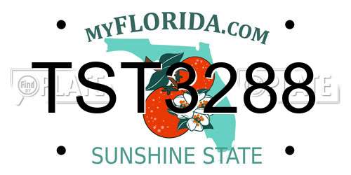 TST3288 Florida License Plate