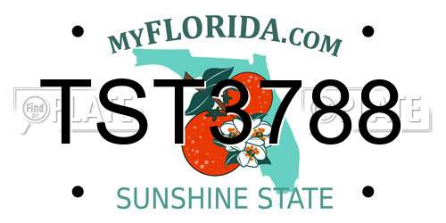 TST3788 Florida License Plate