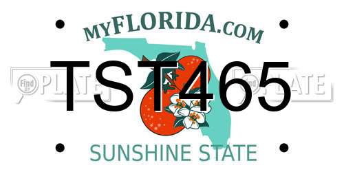 TST465 Florida License Plate