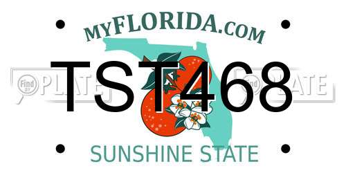 TST468 Florida License Plate