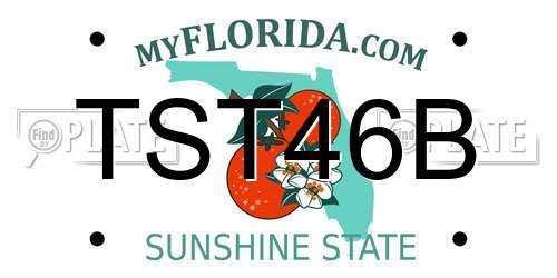 TST46B Florida License Plate
