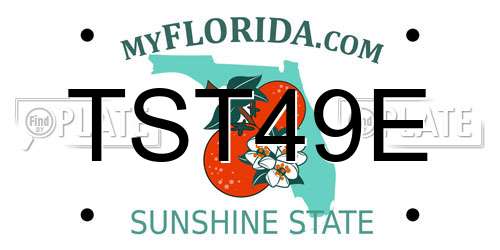 TST49E Florida License Plate