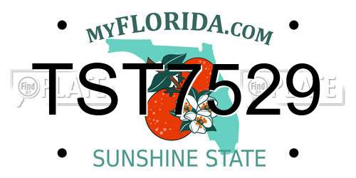 TST7529 Florida License Plate