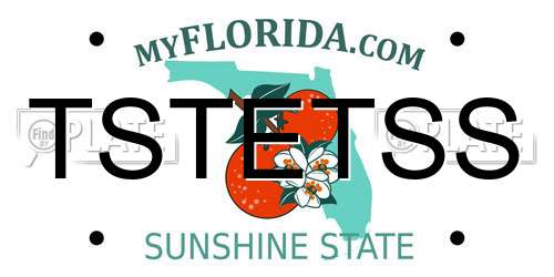 TSTETSS Florida License Plate