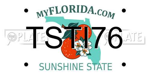 TSTI76 Florida License Plate