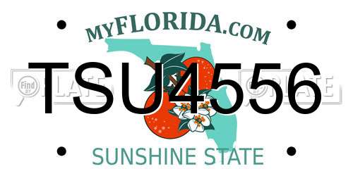 TSU4556 Florida License Plate