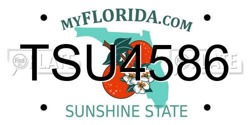 TSU4586 Florida License Plate