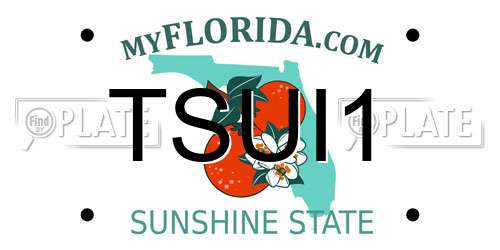 TSUI1 Florida License Plate