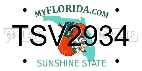 TSV2934 Florida License Plate