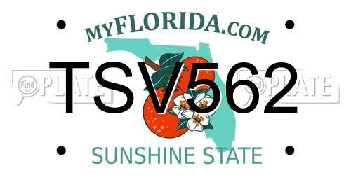 TSV562 Florida License Plate