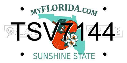 TSV7144 Florida License Plate