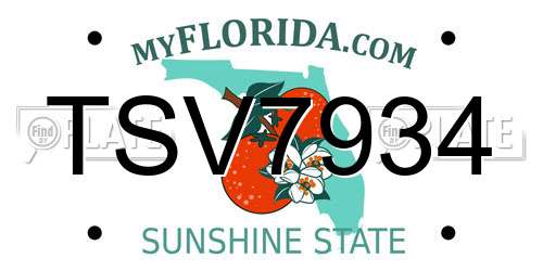 TSV7934 Florida License Plate