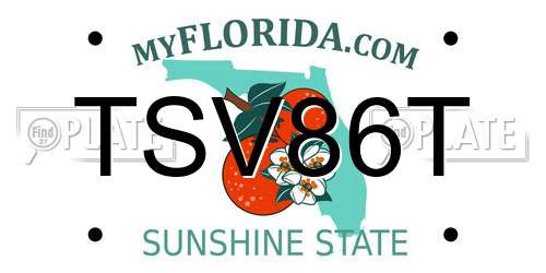 TSV86T Florida License Plate
