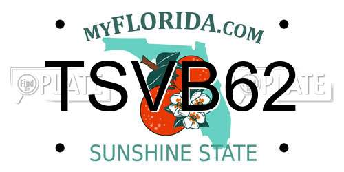 TSVB62 Florida License Plate