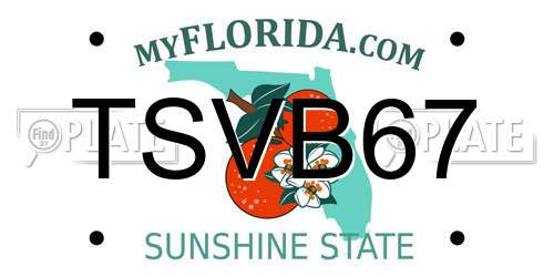 TSVB67 Florida License Plate