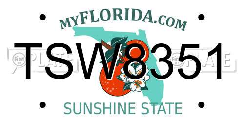 TSW8351 Florida License Plate