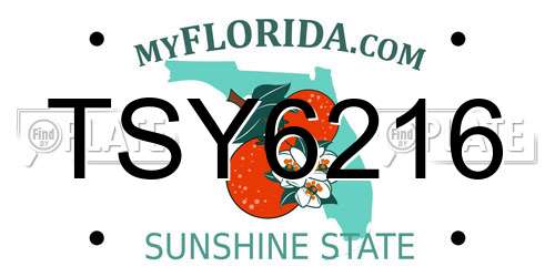 TSY6216 Florida License Plate